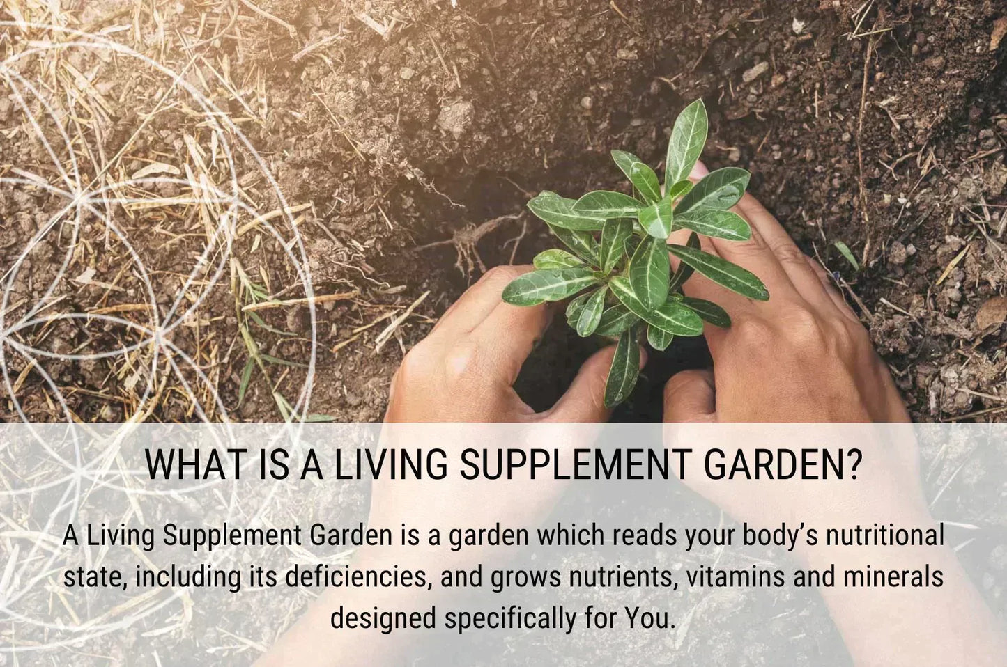 Living Supplement Garden