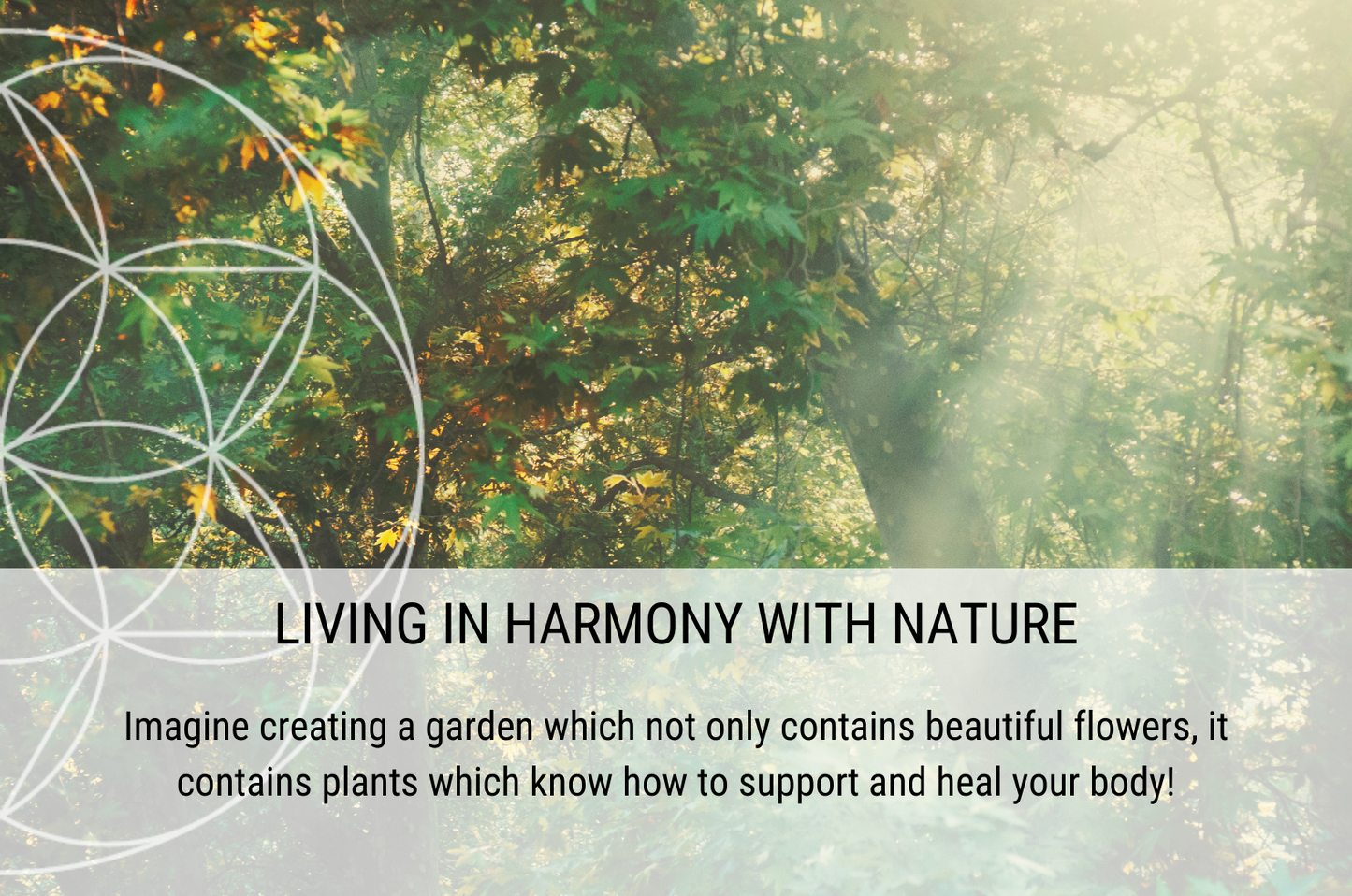 Living in Harmony with Nature