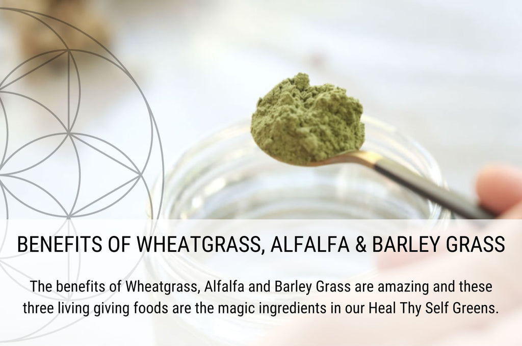 Benefits of Wheatgrass, Alfalfa and Barley Grass.