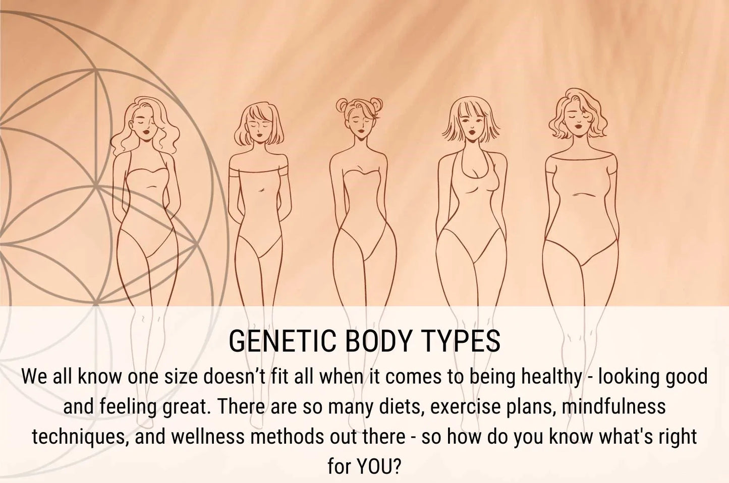 Genetic Body Types