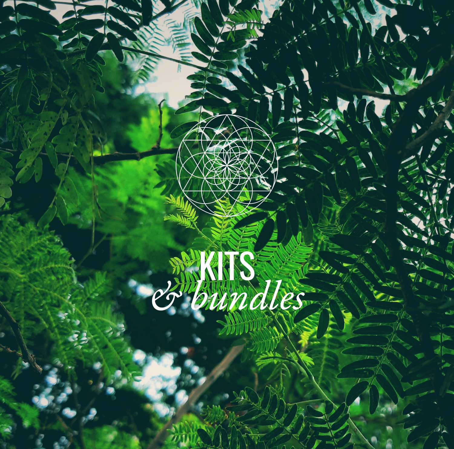 Kits