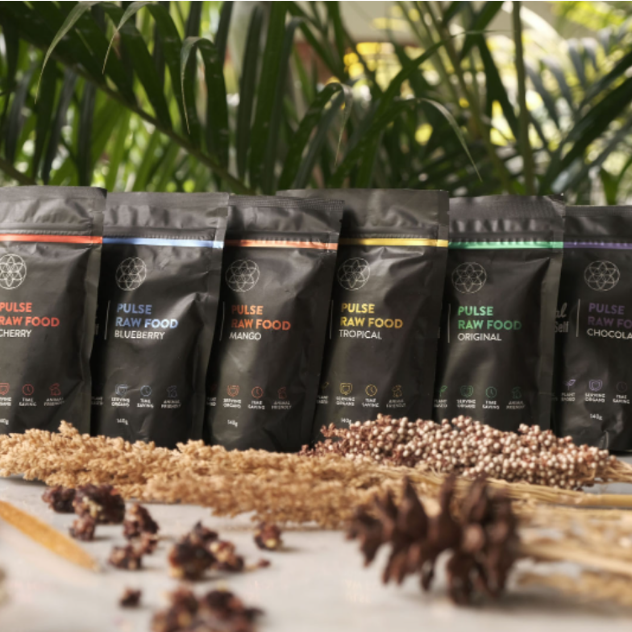 Pulse Raw Food Snack