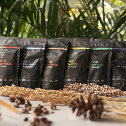 Pulse Raw Food Snack